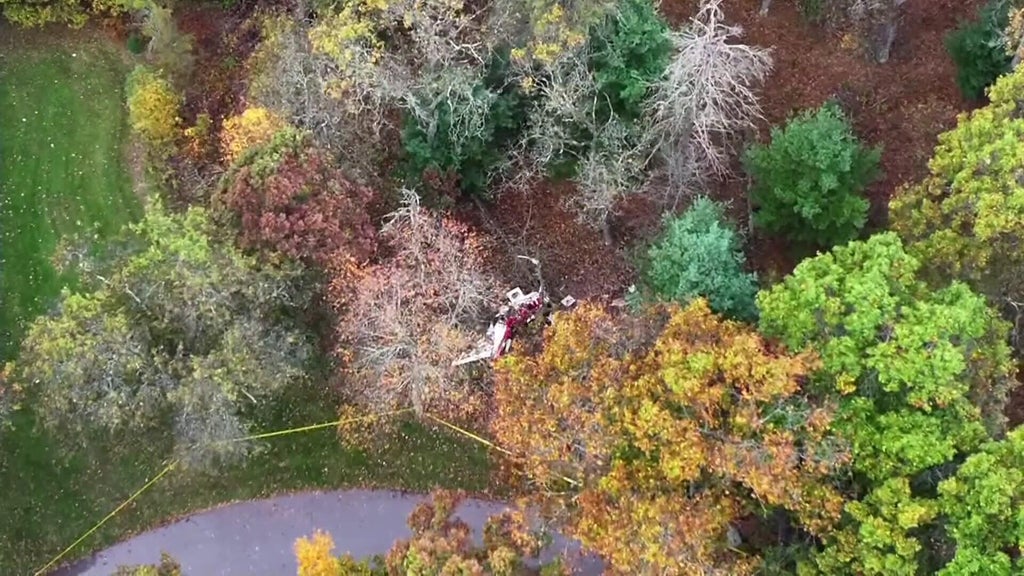 6 dead, including child, in small plane crash near Wisconsin Dells, sheriff says — WCCO / CBS Minnesota, Naples Business news