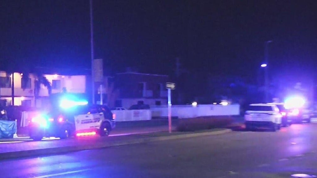 Woman accused of killing man in Dania Beach hit-and-run, BSO says — CBS Miami, Naples Community news
