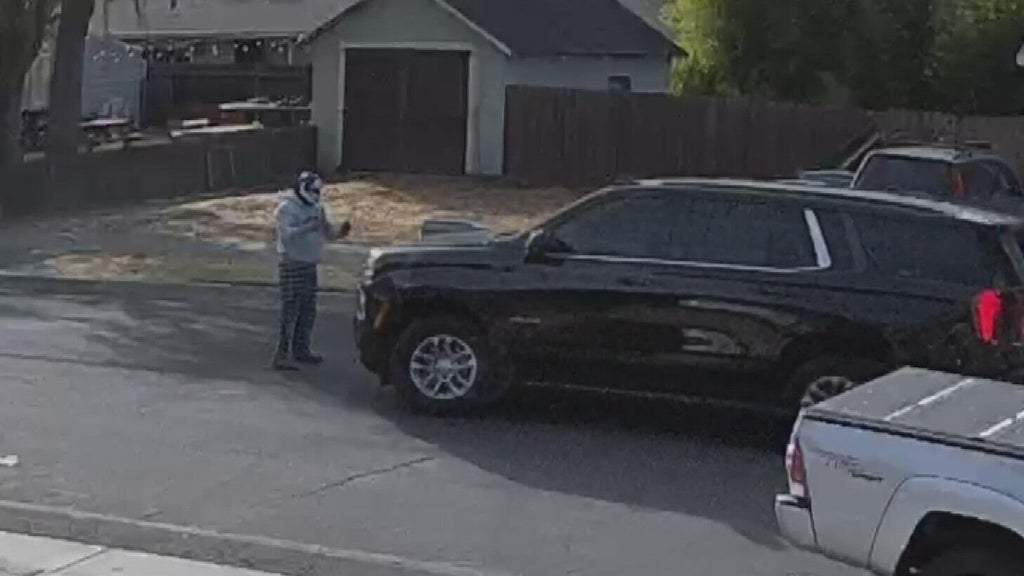 ICE responds after Woodland police dispute initial account of collision with pedestrian — CBS Bay Area (KPIX), Naples Health news