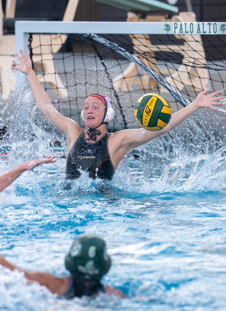 Wilcox Water Polo Caught in Vikings Rip Current — Silicon Valley Voice, Naples Sports news