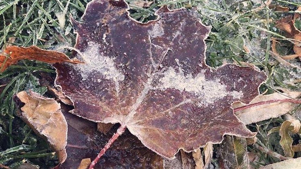 Chilly start to the weekend with widespread freeze Saturday morning — Fox 11 Green Bay Local, Naples Community news
