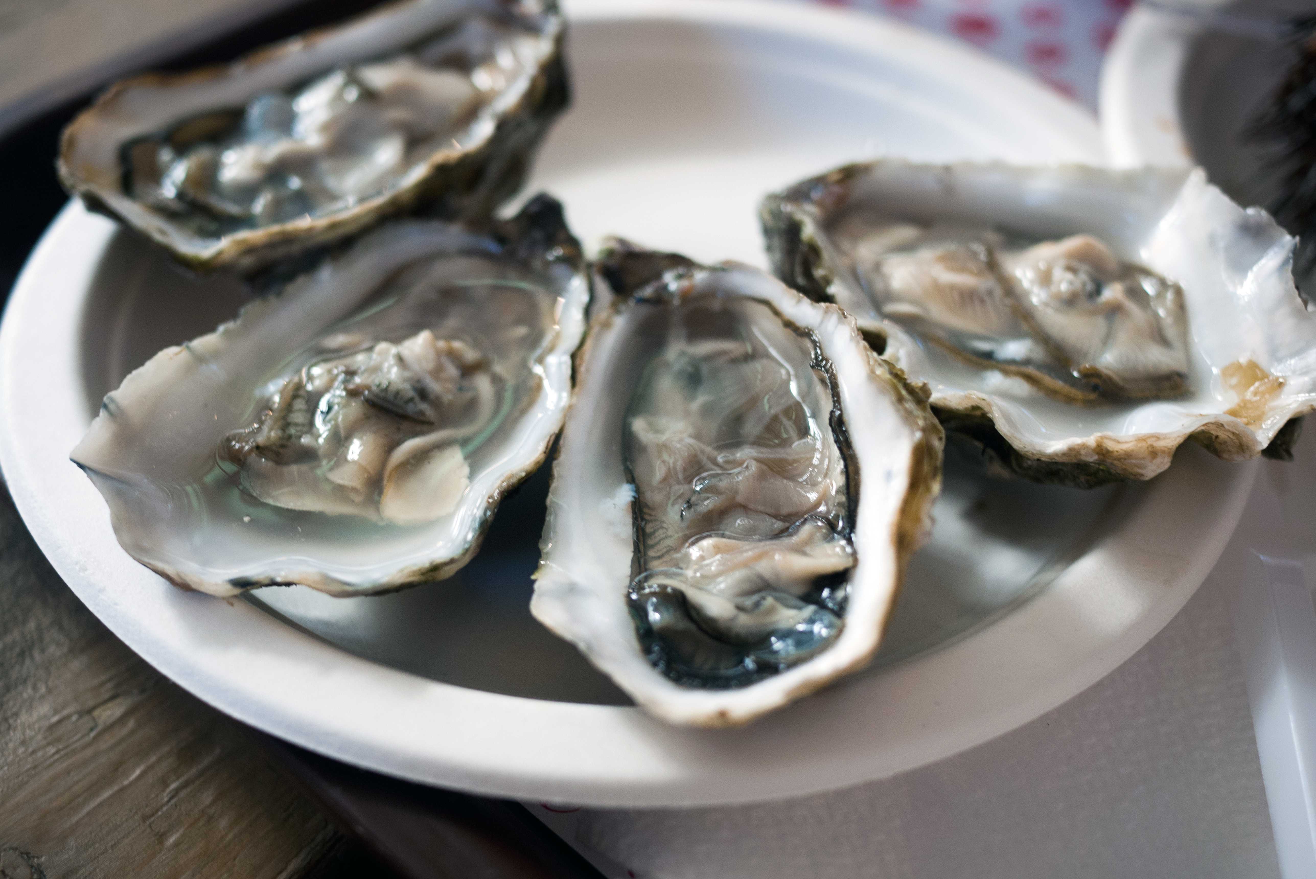 27 People Are Sick & 5 Hospitalized In A Multistate Raw Oyster Recall — WESH 2 Orlando