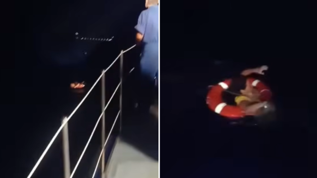 Dramatic rescue: Woman survives nearly 24 hours at sea after falling overboard cruise ship in Greece — WESH 2 Orlando