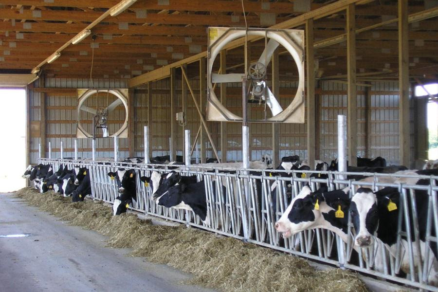 Dairy group seeks farmer input on fuel costs and farm economics — KFGO, Naples Business news
