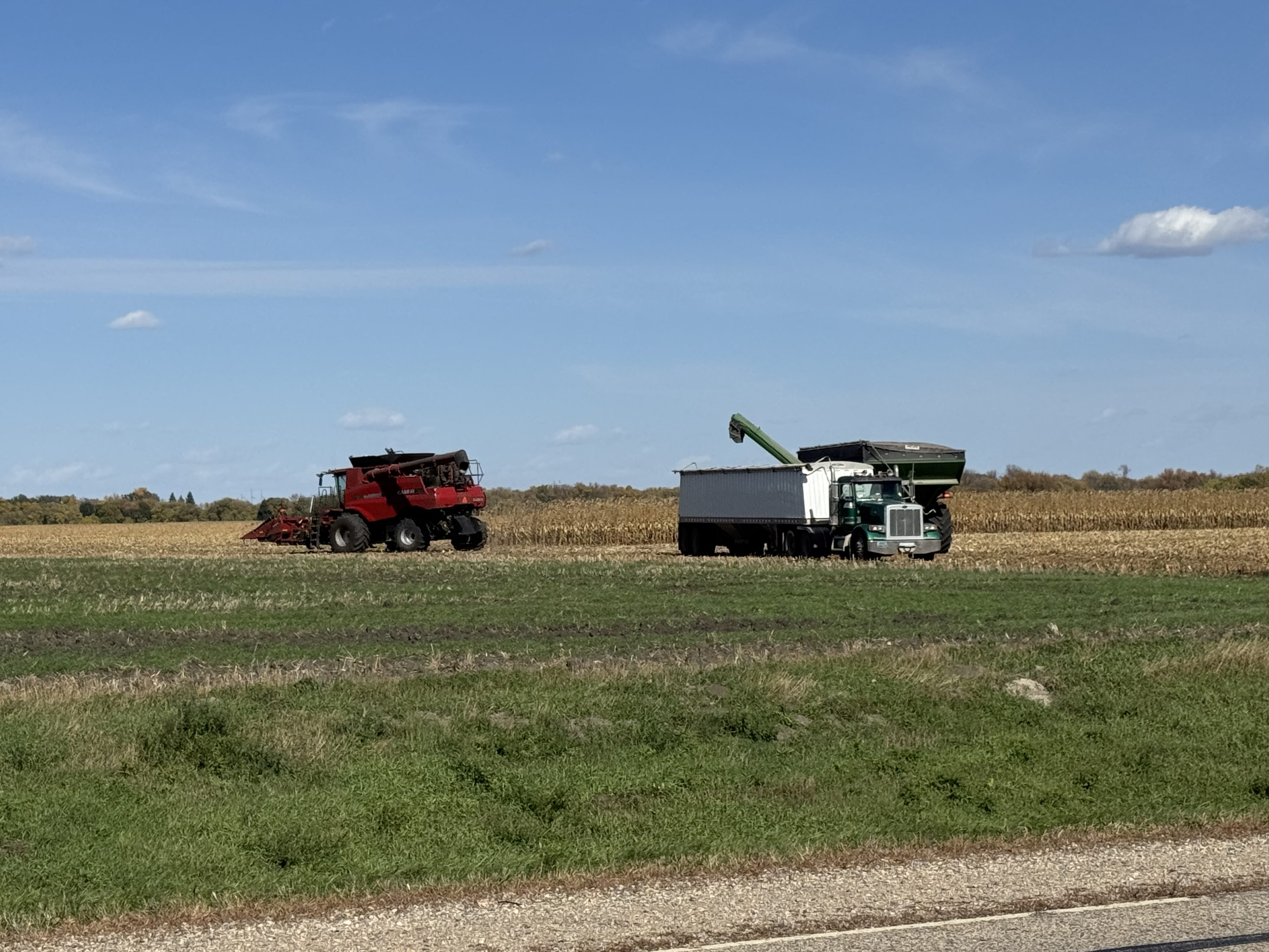 USDA announces record 2025 crop year safety net program payments — KFGO, Naples Community news