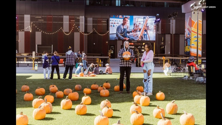 Spooky season with North Loop Green — KARE 11 Local, Naples Sports news