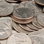 Quarter auction to benefit wildlife center — Florida Weekly